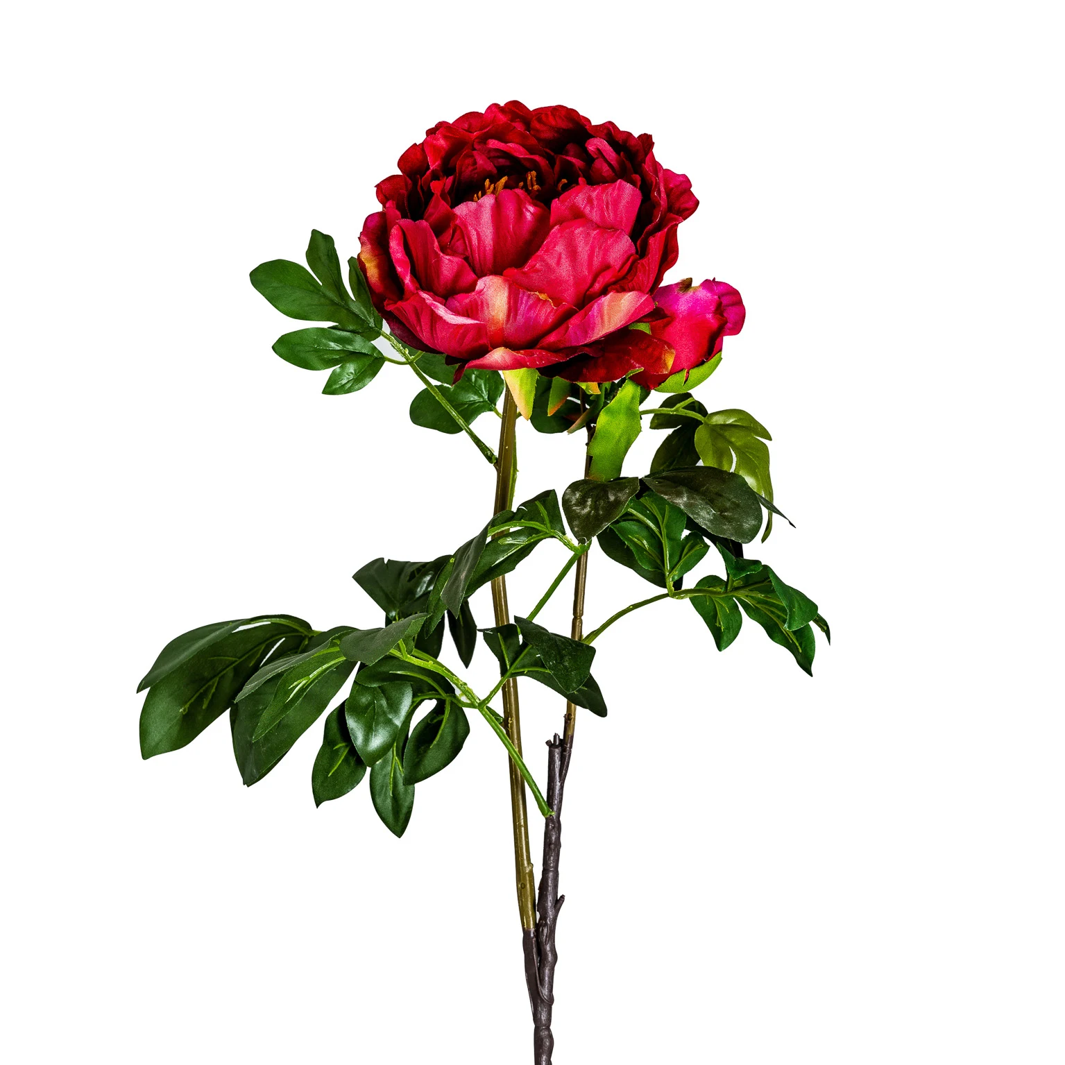 FLOARE DE BUJOR VicalHome 26354 [1]