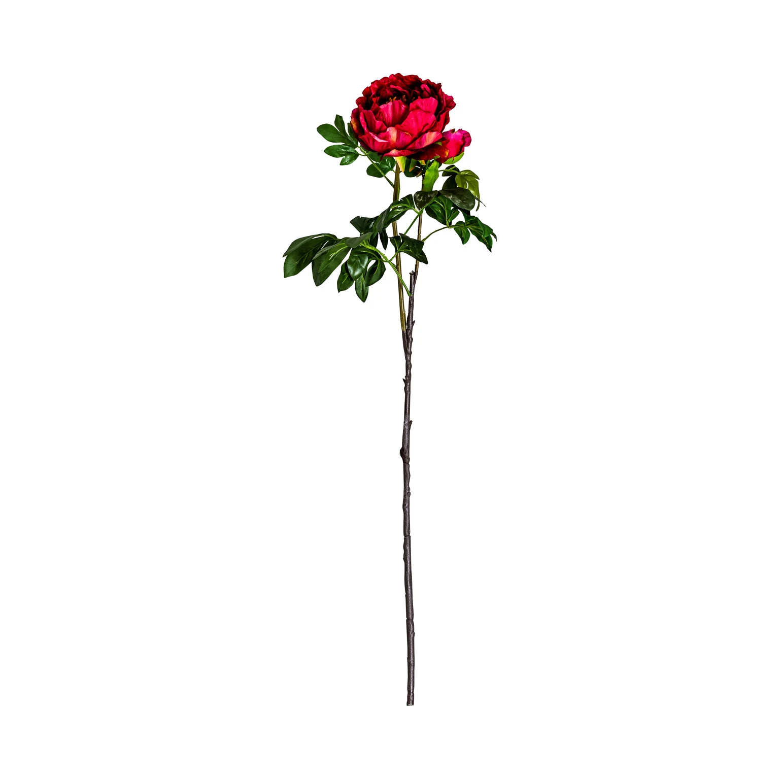 FLOARE DE BUJOR VicalHome 26354 [2]