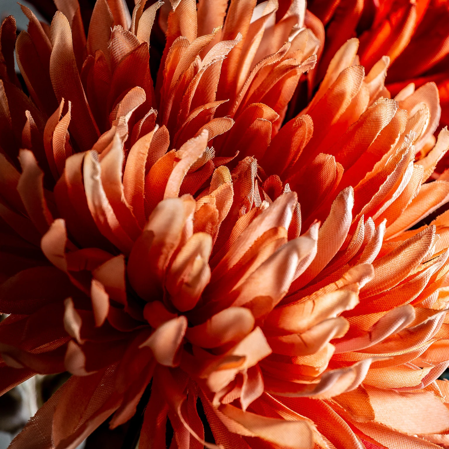Floare de crizantema VicalHome 26332 [5]