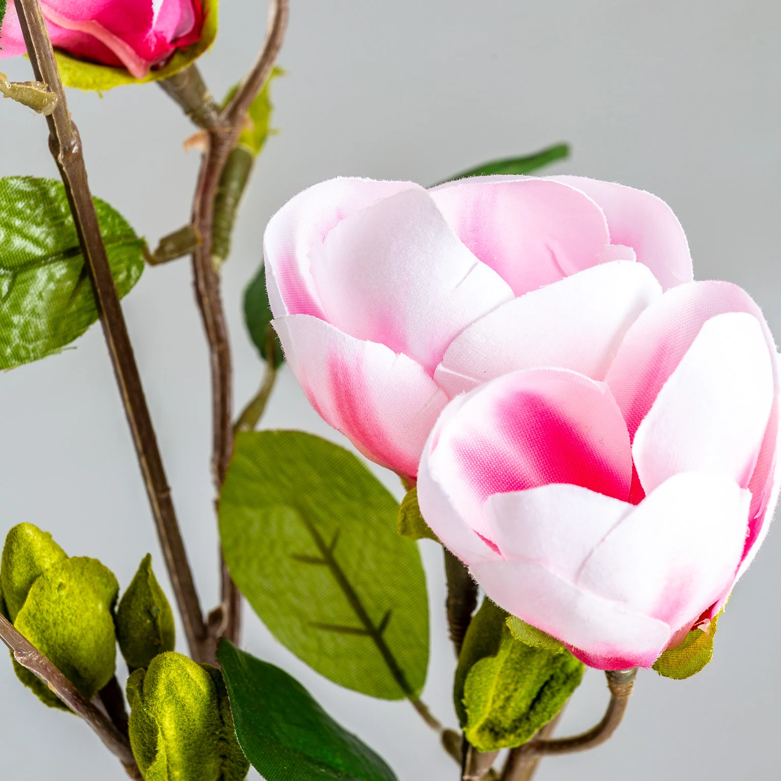 FLOARE DE MAGNOLIE VicalHome 26335 [3]