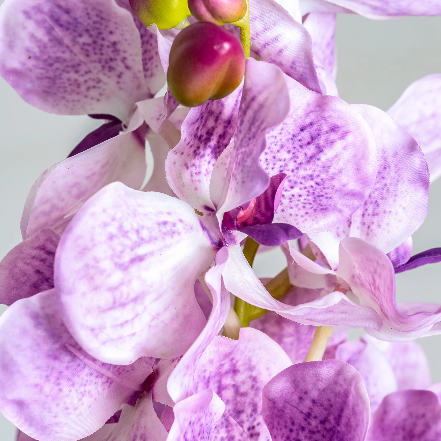 FLOARE DE ORHIDEE VicalHome 26423 [18]