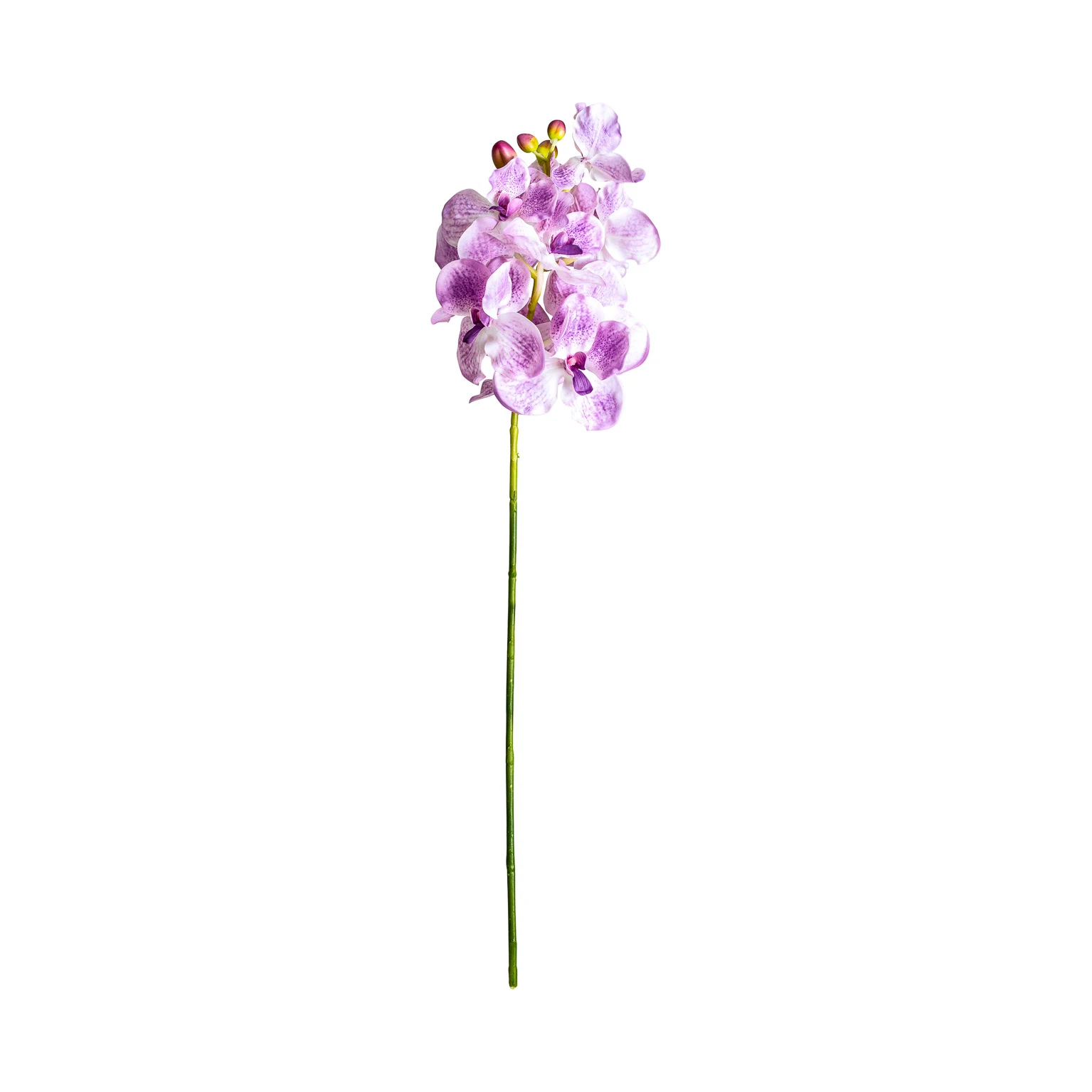 FLOARE DE ORHIDEE VicalHome 26423 [2]