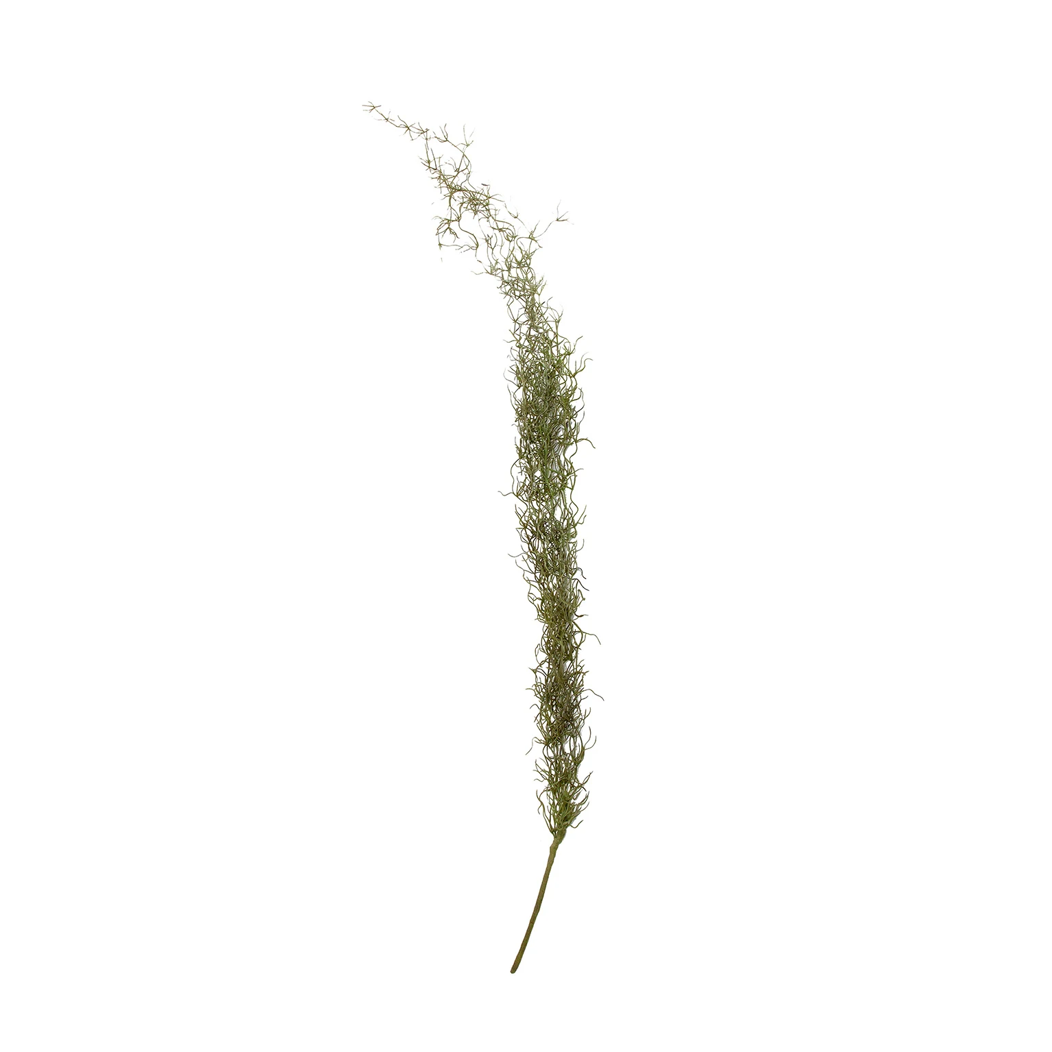 FLOARE ROMERO VicalHome 23256 [1]
