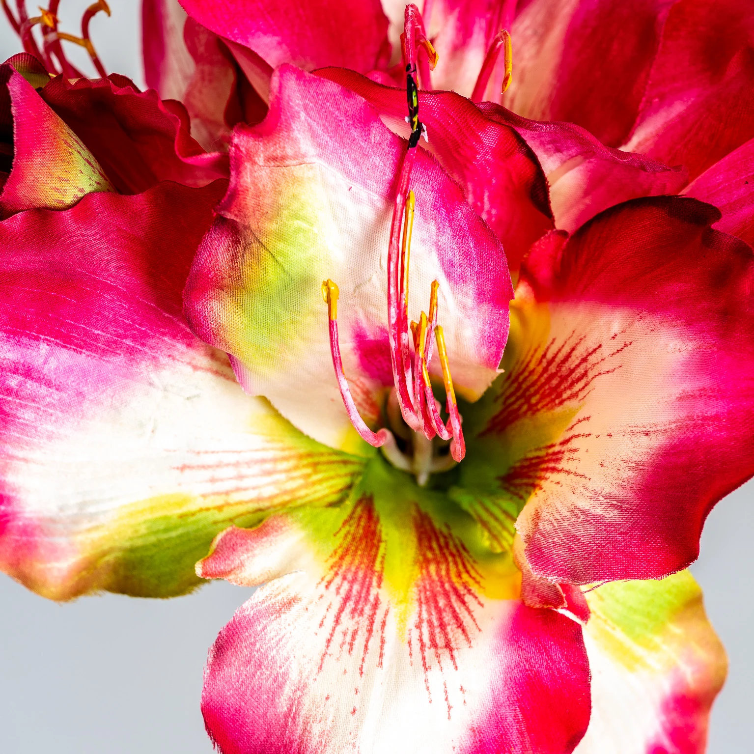 FLOAREA AMARYLLIS VicalHome 26336 [5]