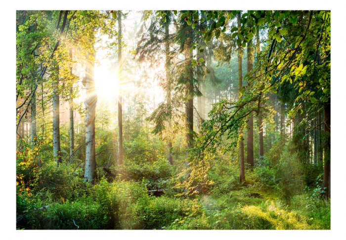 Fototapet autoadeziv - Untamed Nature [2]