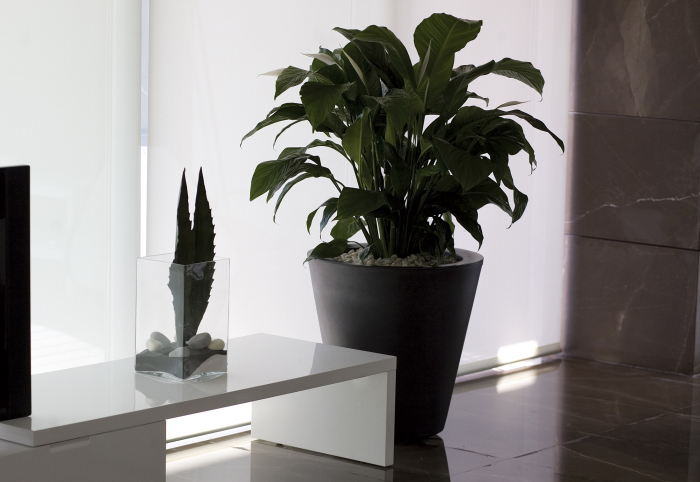 Ghiveci decorativ gradina conic Cone Ø80x69 cm, culoare personalizabila, 40680 - Vondom [3]