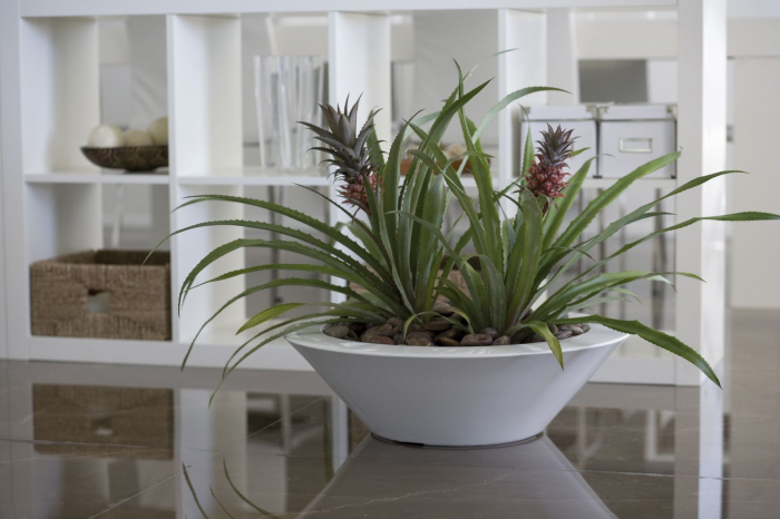 Ghiveci flori rotund plat Centro Ø50x15 cm design modern decorativ, culoare personalizabila, 40850 - Vondom [3]