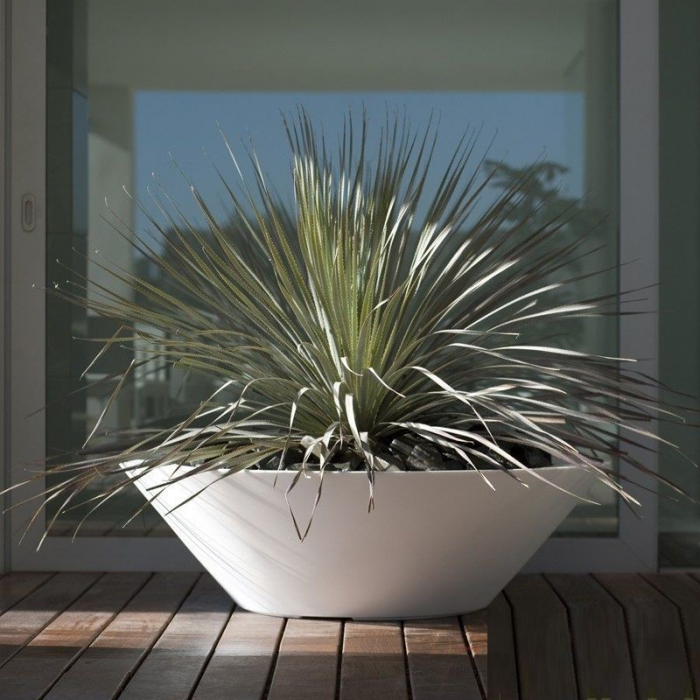 Ghiveci flori rotund plat Centro Ø50x15 cm design modern decorativ, culoare personalizabila, 40850 - Vondom [5]