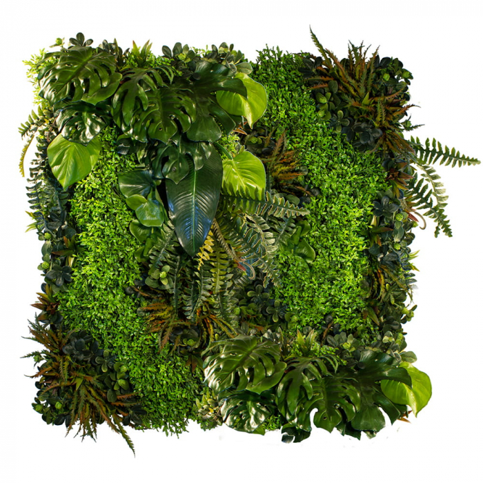 Grădina verticală Arbust botanic [2]