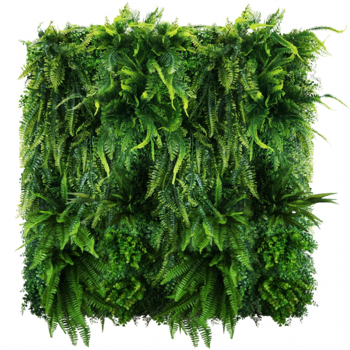 Grădină verticală Easy Fern [2]