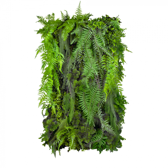 Grădină verticală Fern Cascade [1]