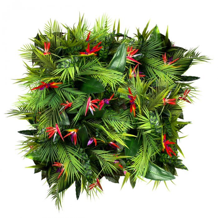 Gradina verticala Fructul pasiunii [2]