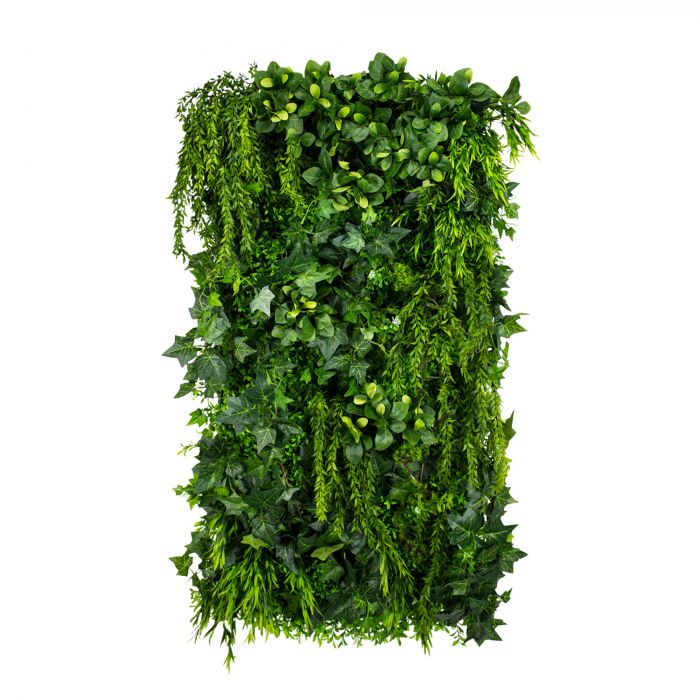 Grădină verticală Green Ivy [1]