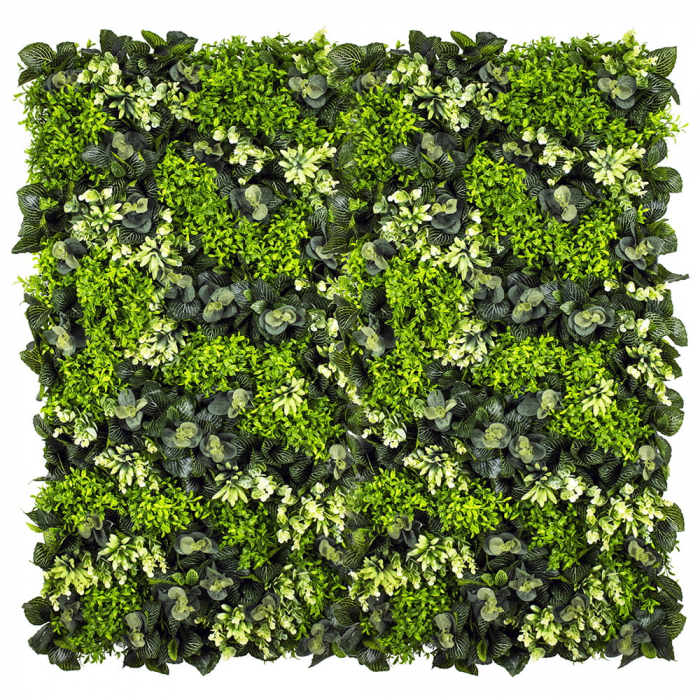 Grădină verticală Little Green [2]