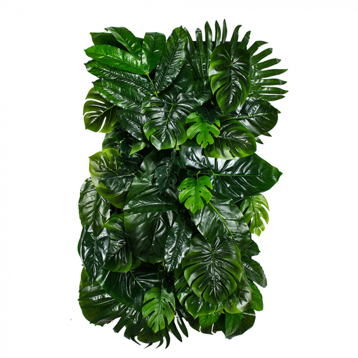 Grădina verticală Monstera Madness [1]