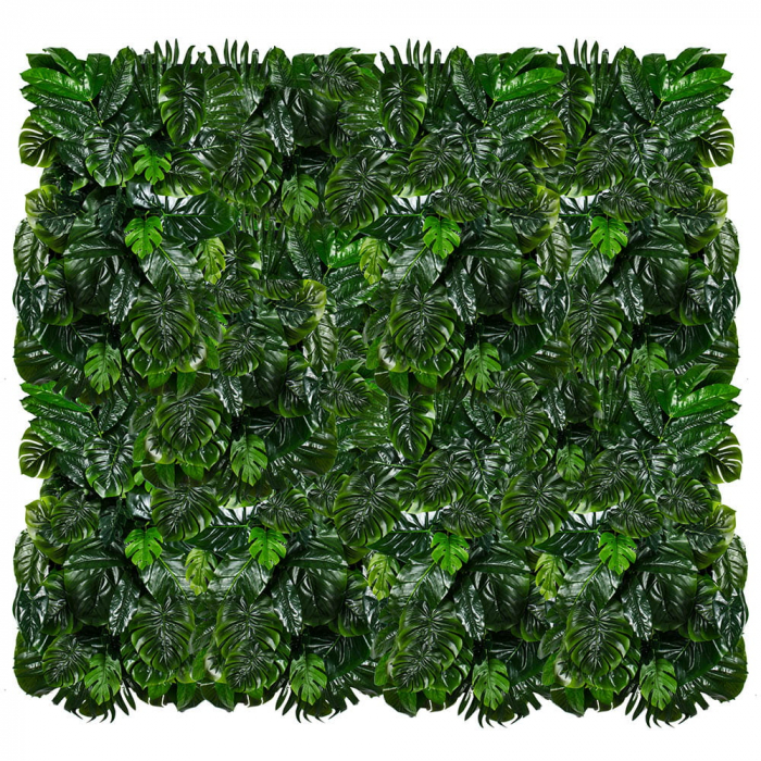 Grădina verticală Monstera Madness [3]