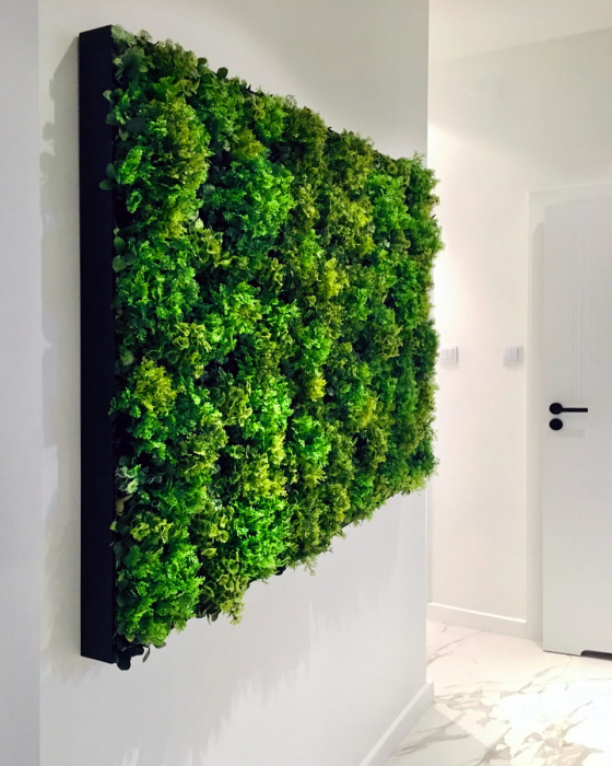 Grădină verticală Moss Mesh [5]