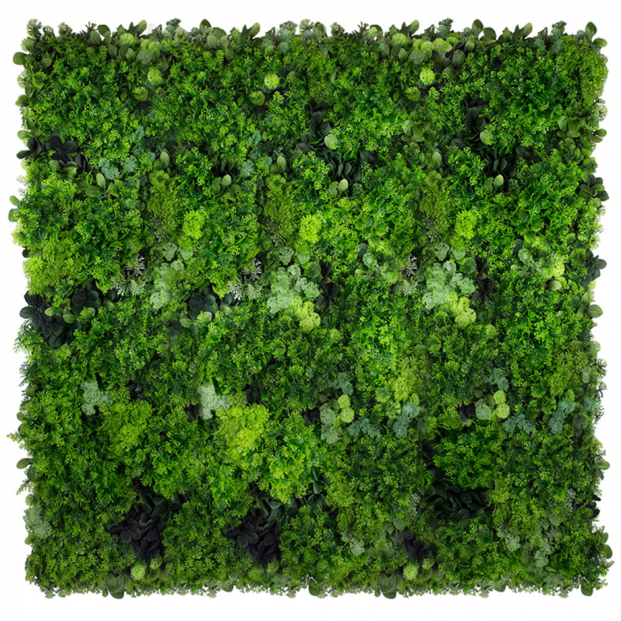 Grădină verticală Moss Mesh [2]
