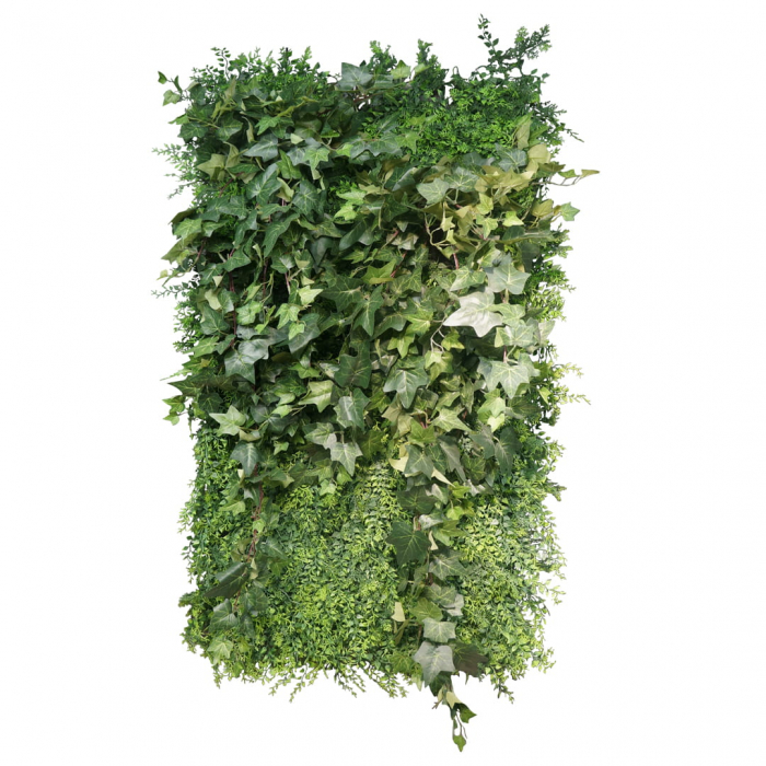Grădină verticală Spațiu verde [1]