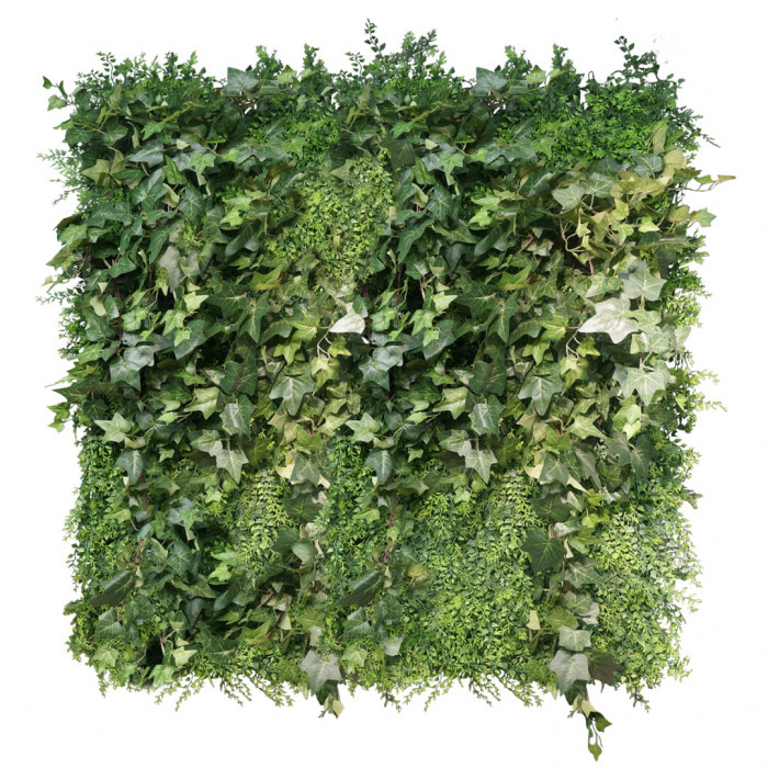 Grădină verticală Spațiu verde [2]