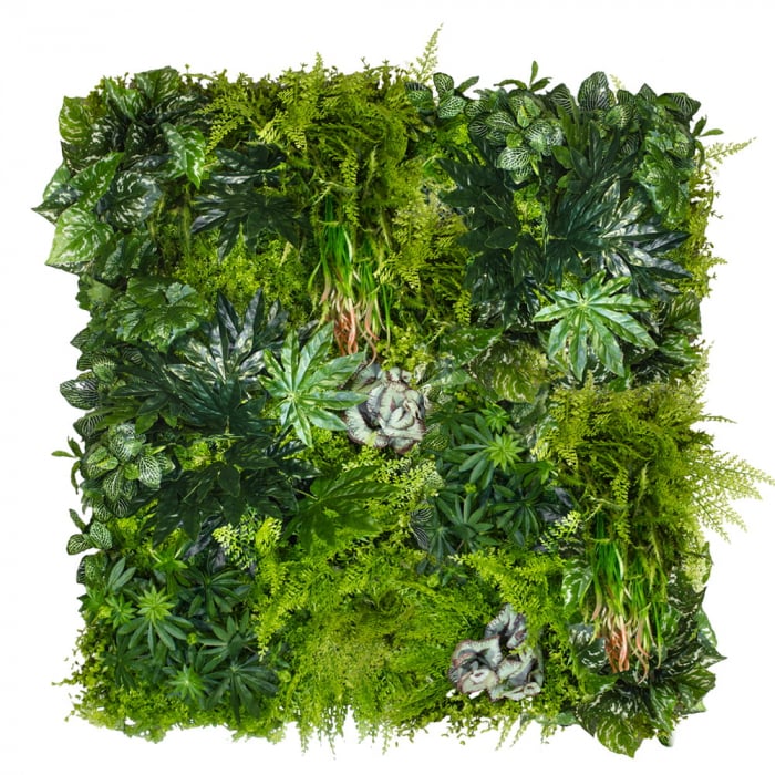 Gradina verticala Tropicala [2]