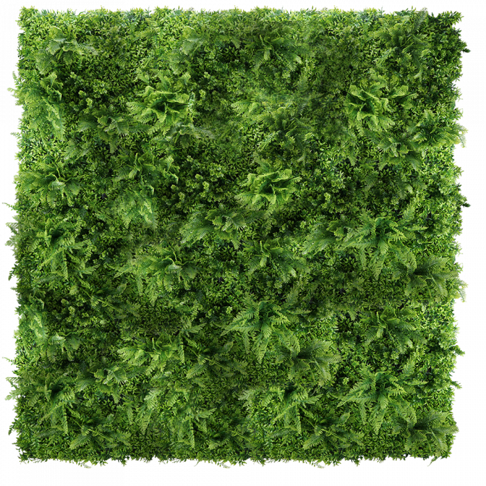 Green Wall Brusznica 50x50cm [2]