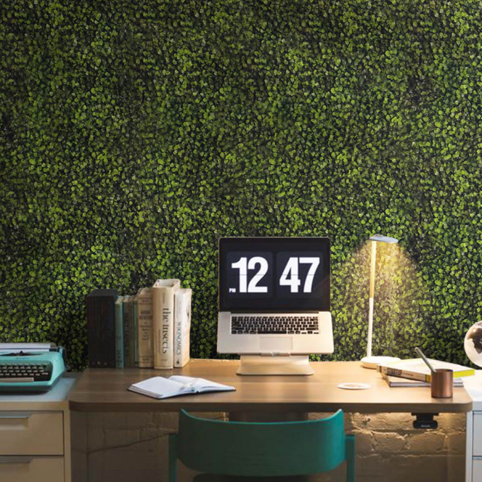Green Wall Bukszpan 50x50 [5]