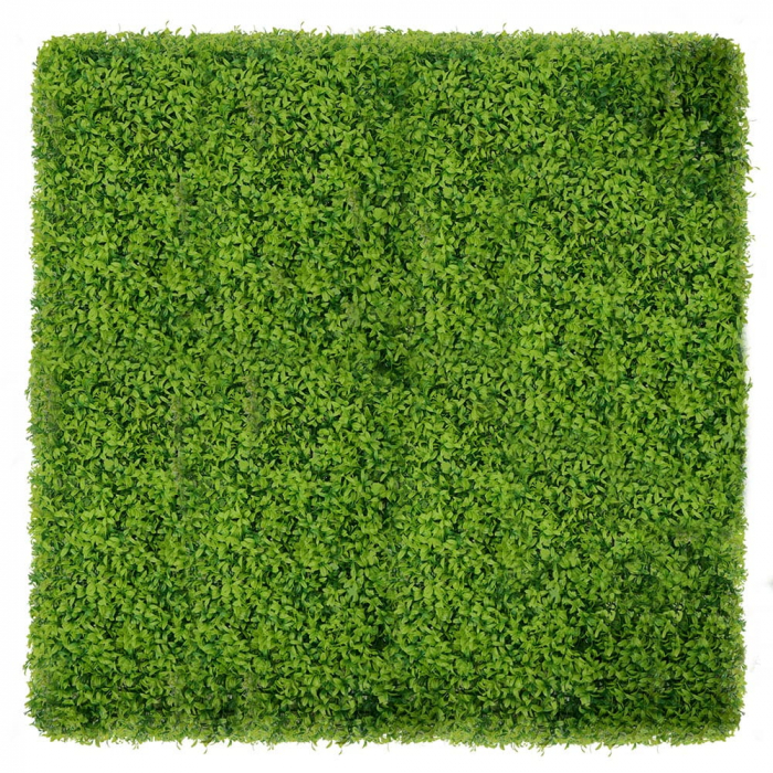 Green Wall Buxus 40x60 [3]