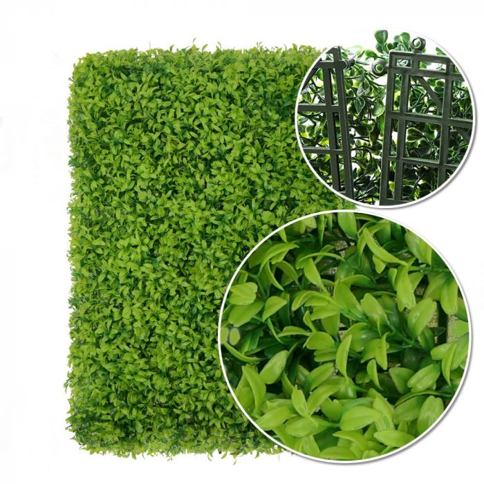 Green Wall Buxus 40x60 [7]