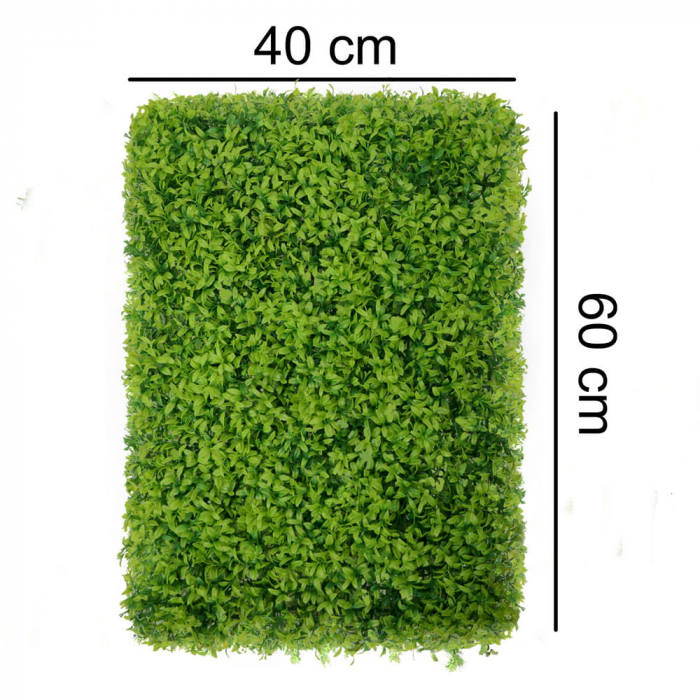 Green Wall Buxus 40x60 [2]
