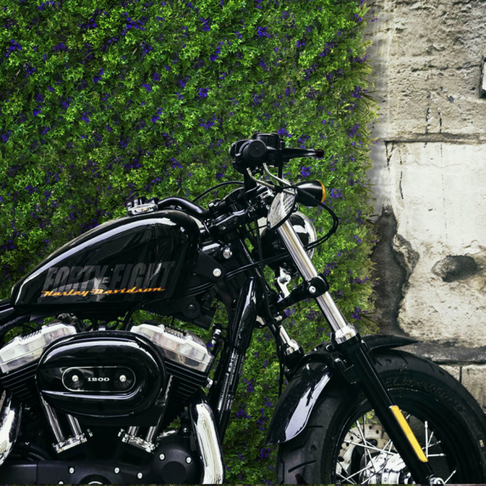 Green Wall Chaber 40x60 [6]