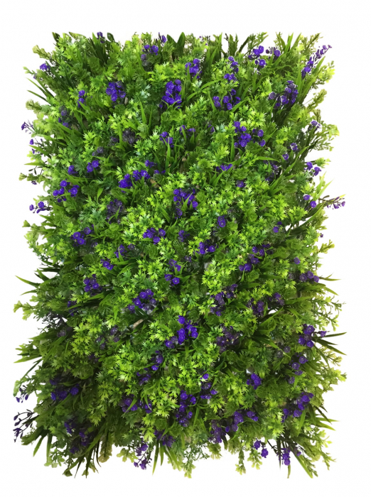 Green Wall Chaber 40x60 [2]