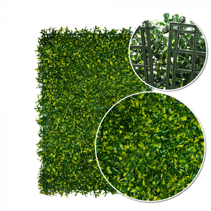 Green Wall Dziurawiec 40x60 [2]