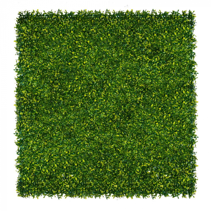 Green Wall Dziurawiec 40x60 [3]