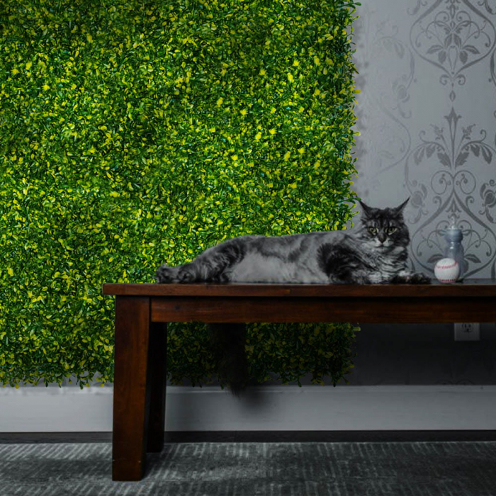Green Wall Dziurawiec 40x60 [8]