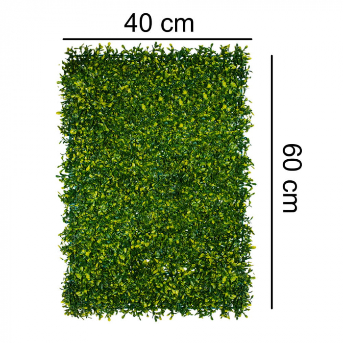 Green Wall Dziurawiec 40x60 [4]