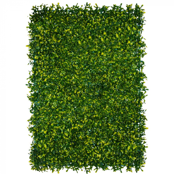 Green Wall Dziurawiec 40x60 [1]