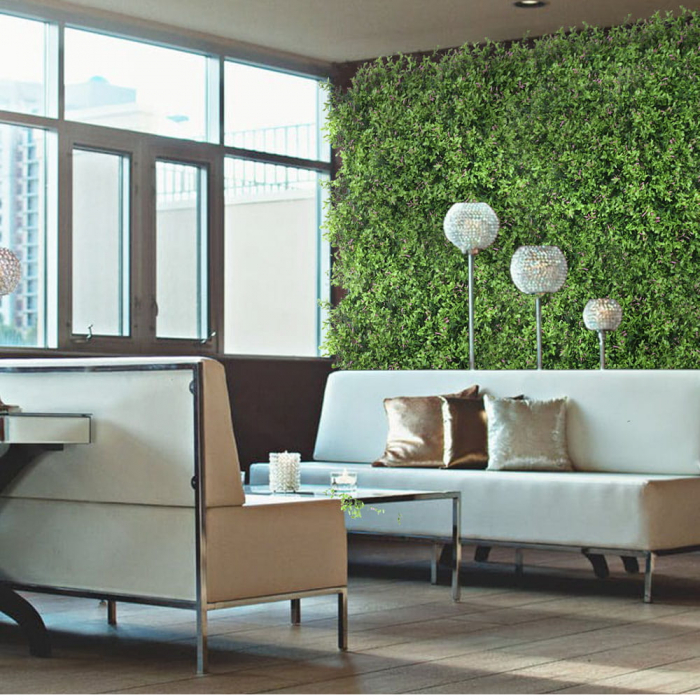 Green Wall Fumaria 40x60 [3]