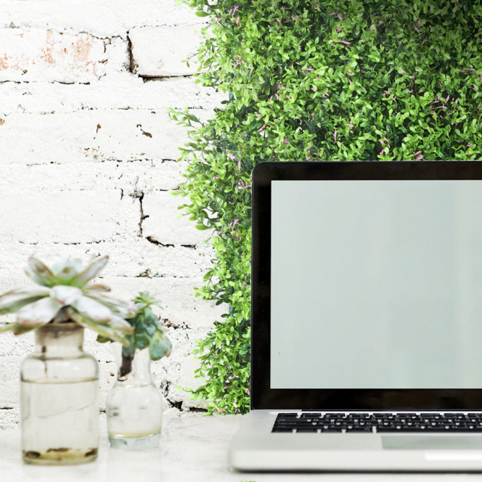 Green Wall Fumaria 40x60 [4]