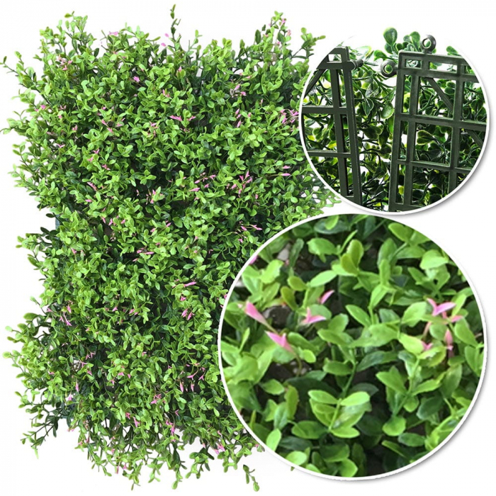 Green Wall Fumaria 40x60 [6]