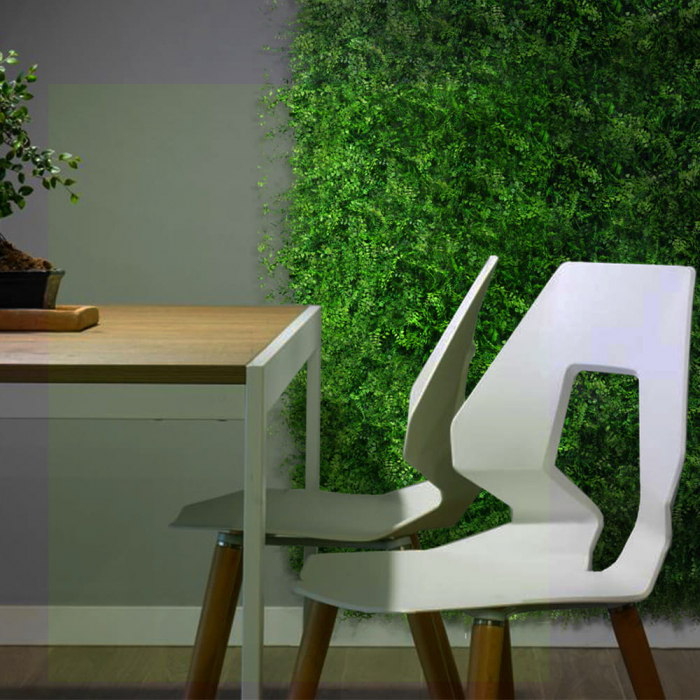 Green Wall Gleditsia 40x60 [5]