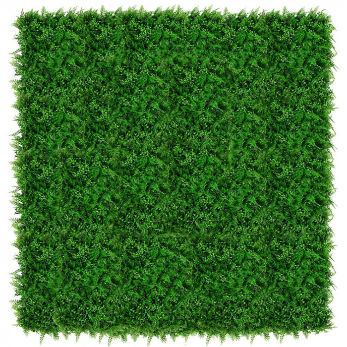 Green Wall Gleditsia 40x60 [4]