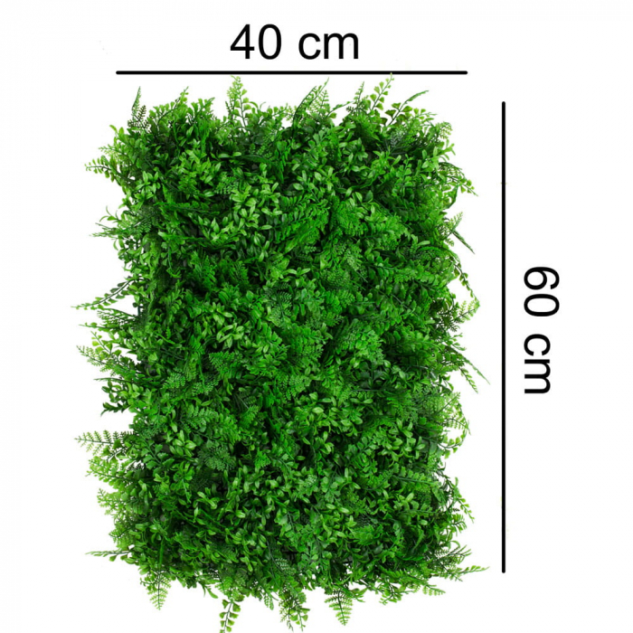 Green Wall Gleditsia 40x60 [3]