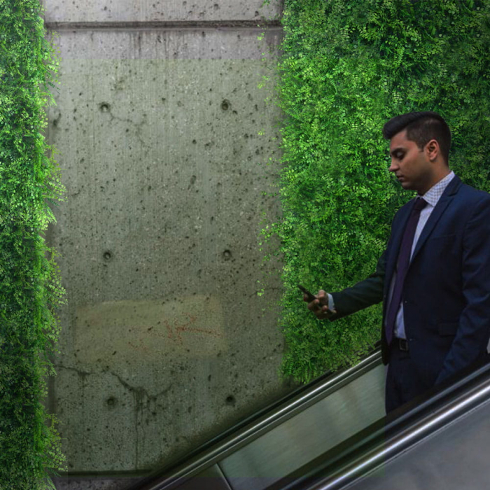 Green Wall Gleditsia 40x60 [6]