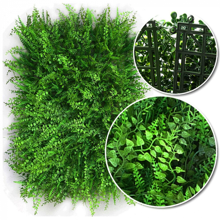 Green Wall Gleditsia 40x60 [2]