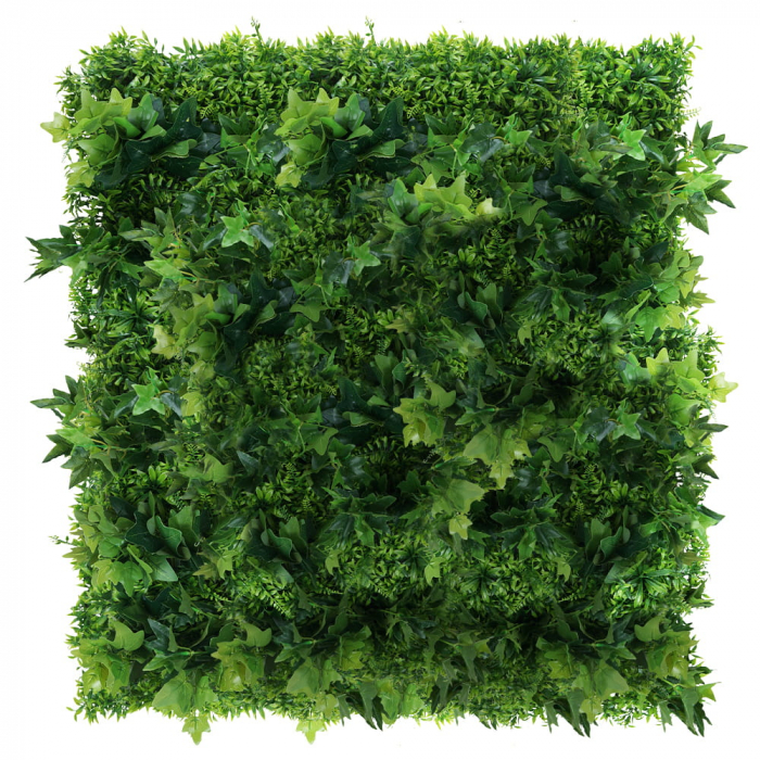 Green Wall Hedera 50x50cm [1]