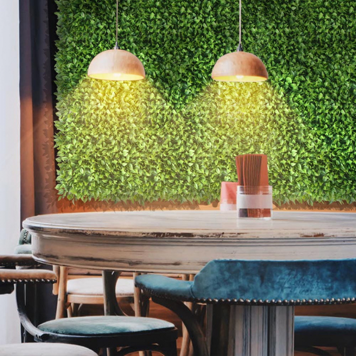 Green Wall Honkenia 50x50 [4]