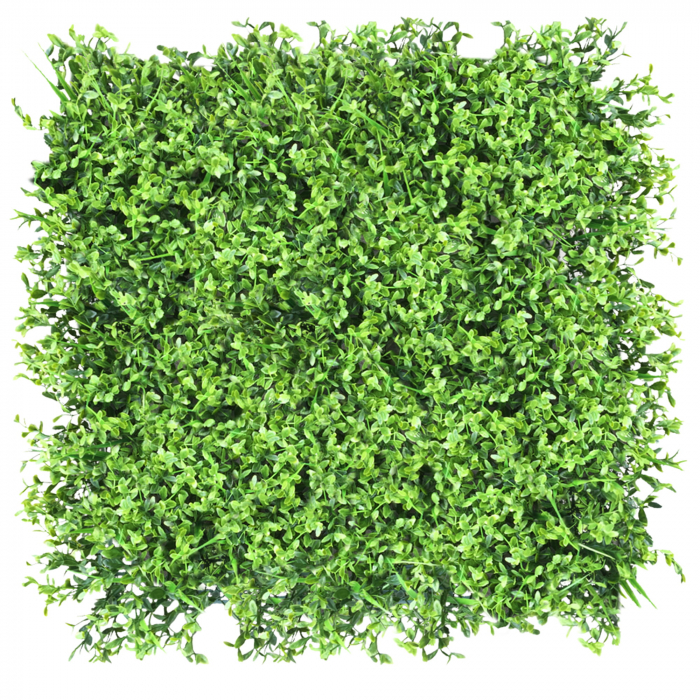 Green Wall Jemiola 50x50 [1]