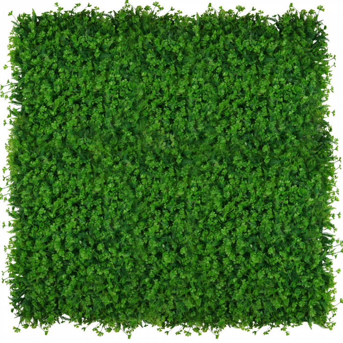 Green Wall Koniczyna 40x60 [2]