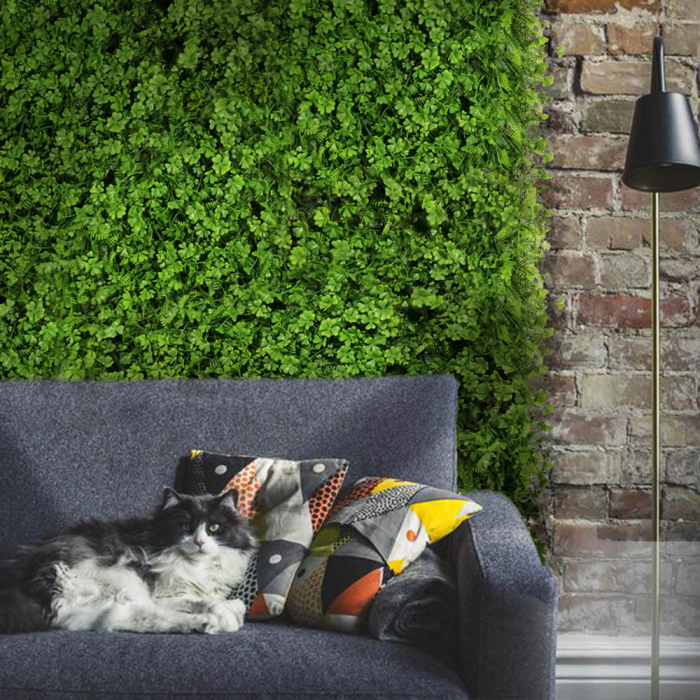 Green Wall Koniczyna 40x60 [5]